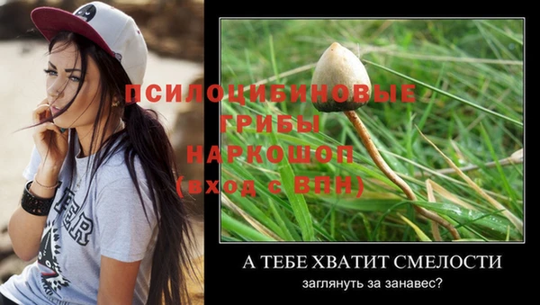 а пвп мука Балахна