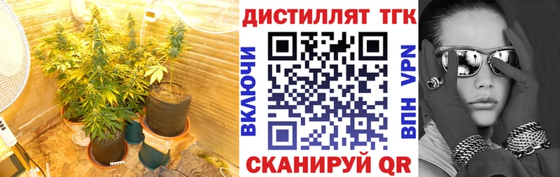 ТГК THC oil  купить закладку  гидра маркетплейс  Лесной 